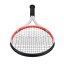 Pro Kennex Ki 10 2023 (290 g)